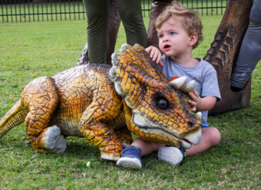 houston-kids-birthday-party-jurassic-extreme-for-toddlers