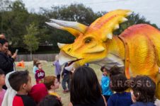 ramsey-triceratops-dinosaur-costume-jurassic-extreme-wide-school-texas2