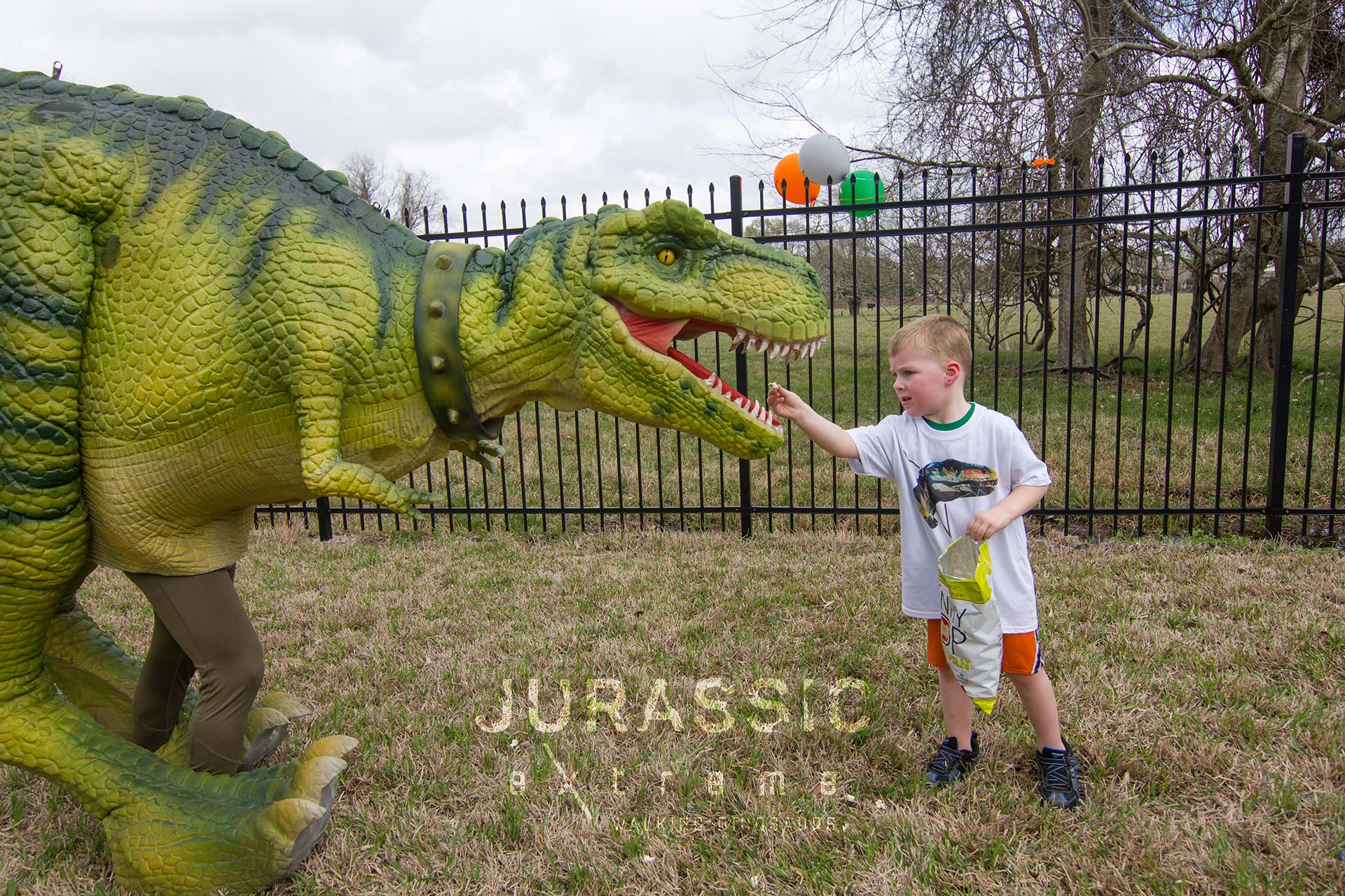 Jurassic Extreme Kids Birthday Party in Houston